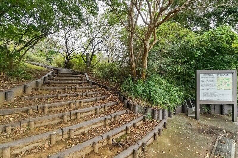 マンションから徒歩３分のところにある「熊野神社市民の森」。2024年に創建1300年を迎えた、由緒正しい「師岡熊野神社」の社叢森です。