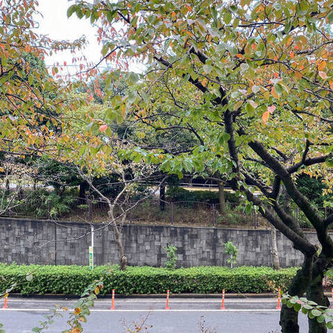 アーバンメゾン東大島の室内写真