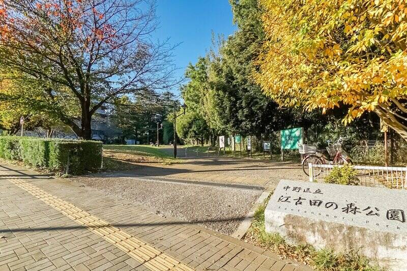 名前の通り緑豊かな「江古田の森公園」。洋室Ｃから見えたグリーンはこの公園のもの。（徒歩１分）