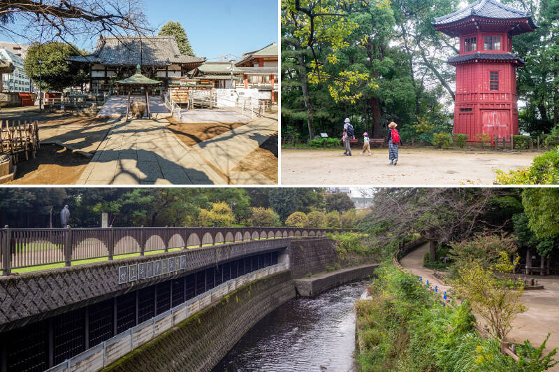 <b>左上・</b>この街を代表する寺院「新井薬師本堂」。かつては “西の浅草寺、東新井薬師” と言われていたこともあったのだとか。毎月８のつく日は、縁日が開かれているそうですよ。（徒歩13分）／<b>右上・</b>こちらは哲学者・井上円了氏によって創設された「哲学堂公園」。哲学世界が視覚的に表現された、学びを得られる公園です。（徒歩４分）／<b>下・</b>そのすぐそばには「妙正寺川」が流れています。遊歩道をのんびりと歩いているだけで気持ちよさそう。