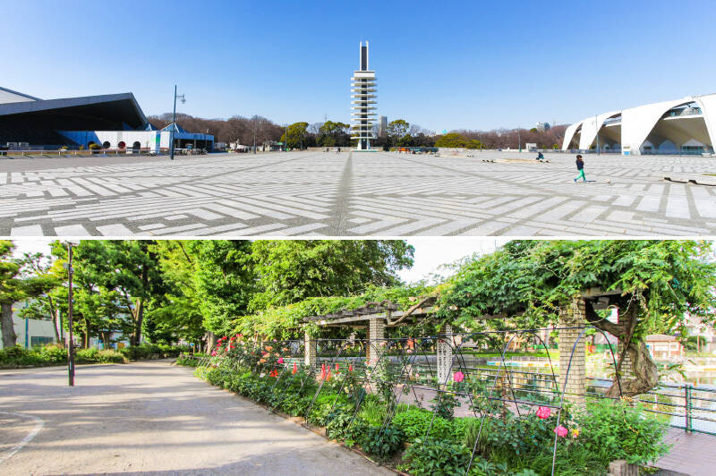 <b>上・</b>休日は自然を感じられる「駒沢オリンピック公園」へ、行くのはいかがでしょう。中央広場ではフリーマーケットが開催されていることもありますよ。（徒歩14分）／<b>下・</b>こちらは大きな池がある「碑文谷公園」。園内にはウサギやモルモットなどの動物と触れある「こども動物広場」もありますよ。（徒歩13分）