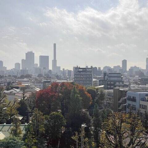 池袋マンションヒルハイムの室内写真