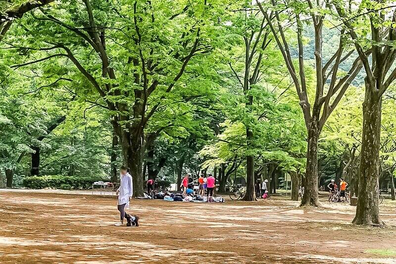 ショップ巡りを楽しんだ後は、「代々木公園」で休憩。豊かな緑を眺めているだけで癒されます。（徒歩11分）