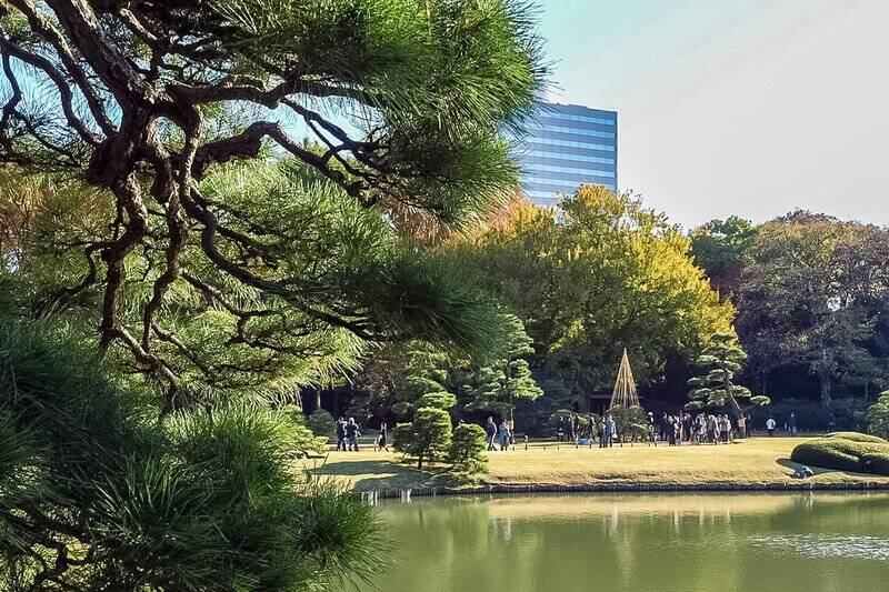 “駒込エリア” を代表する名所「六義園」（ろくぎえんではなく、りくぎえん、です）。江戸幕府の大老・柳沢吉保が、晩年に総力を傾けて造成した傑作庭園です。せっかくご近所に住むなら、年間パスポートの購入も視野に入れたいところ。（徒歩６分）