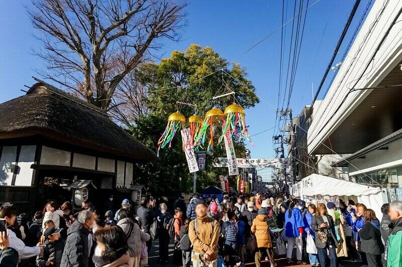 毎年12月と1月に世田谷地区で開催される「ボロ市」。骨董品や食器がところせましと並び、多くの人でにぎわいます。