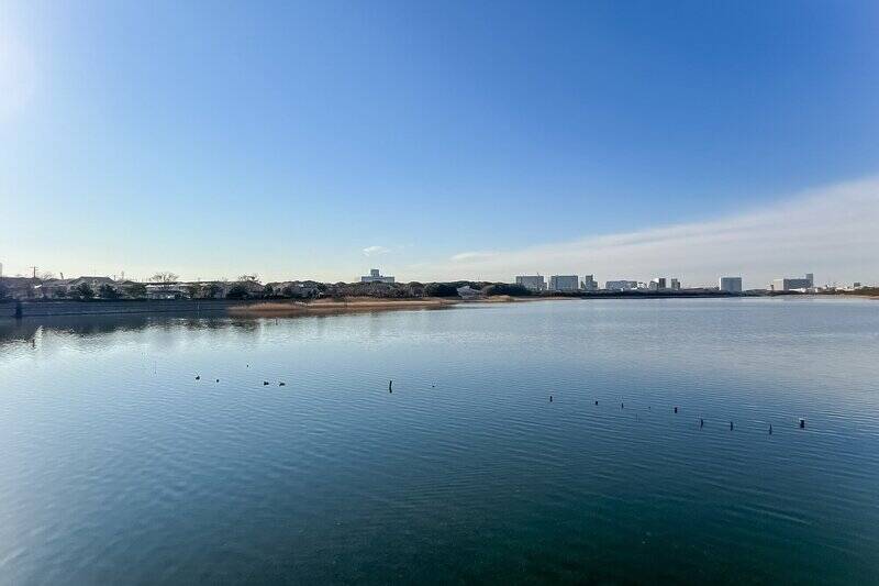 売主さまのおすすめスポット「谷津干潟公園」。渡り鳥の飛来地となっているそう。