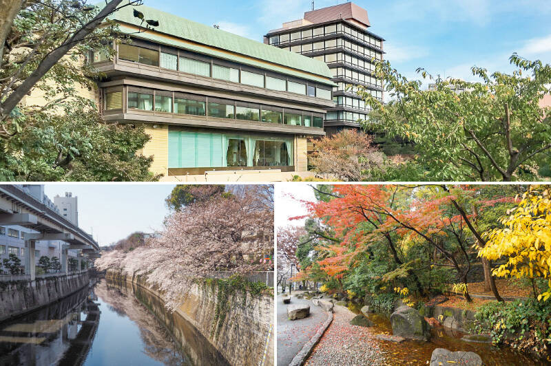 今回の舞台は、「椿山荘（上）」や「神田川（左下）」、「江戸川橋公園（右下）」のほど近く。美しい四季の移ろいを楽しめるエリアです。