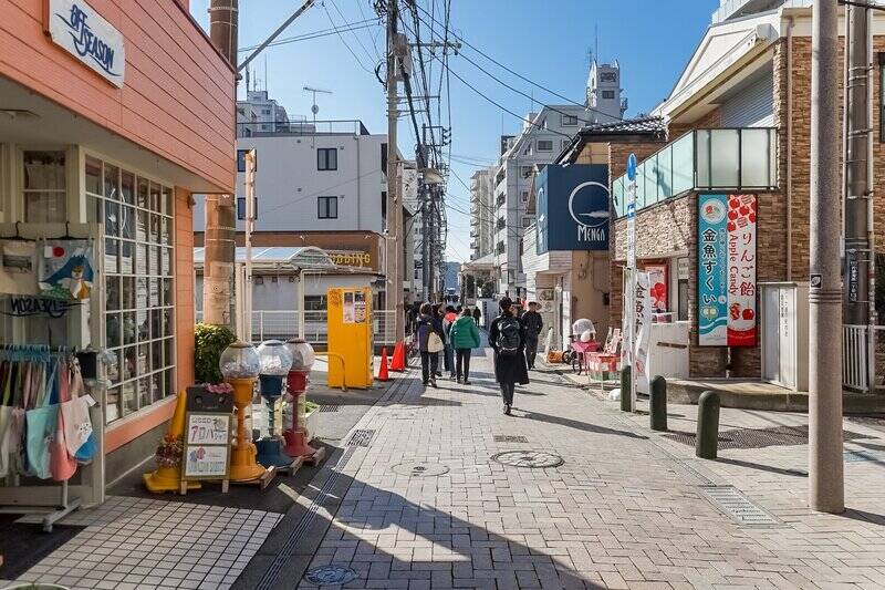 「すばな通り」（徒歩１分）には昔ながらの商店や今どきのフードショップまで、さまざまなお店がずらり。近くにはドラッグストアが隣接しているスーパー「やまか江の島店」（徒歩７分）もあり、日用品の買い物に便利です。