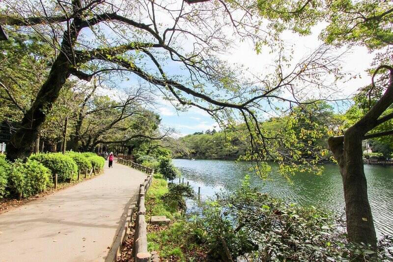 「井の頭恩賜公園」へは自転車で約10分。晴れた日はサイクリングがてら公園で過ごすのもいいですね♪