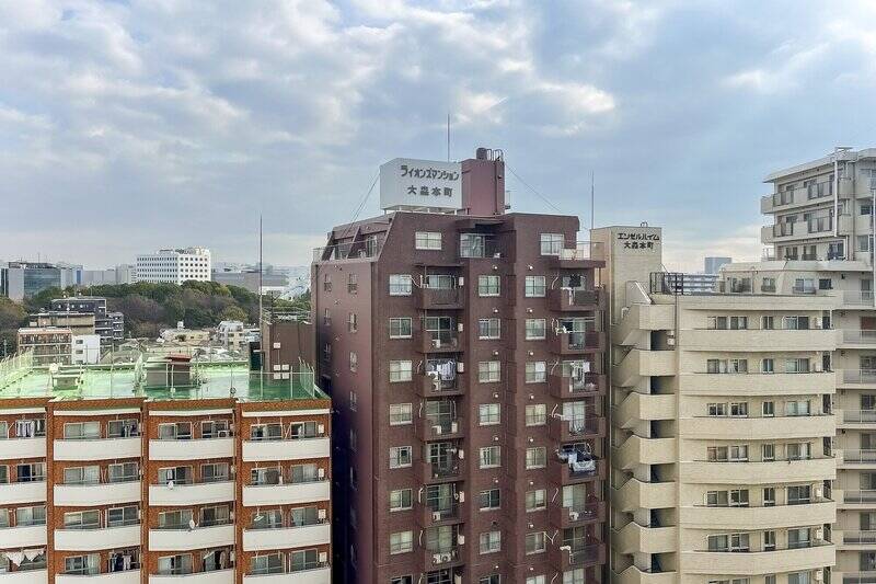 屋上にある小窓から景色を眺めることも。東向きの眺望はこんな感じ。