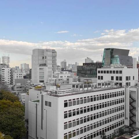 エクセル原宿グレイスコートの室内写真