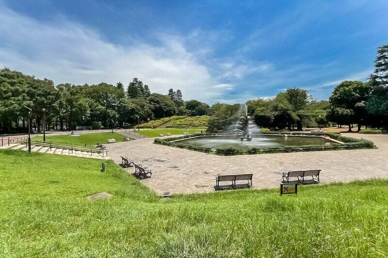 リフレッシュしたくなったら「世田谷公園」へ。噴水を見ながらぼーっとするだけでも癒されそうです。（徒歩７分）