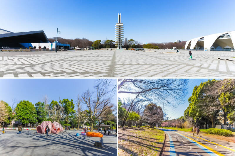 <b>上・</b>「駒沢公園」まではマンションから徒歩20分。中央広場では「フリーマーケット」「ラーメンフェス」「餃子フェス」など、１年を通して楽しいイベントが開催されますよ／<b>左下・</b>児童向けの「ぶた公園」は、ピンクのぶたさん滑り台が目印。ほかに「りす公園」・「うま公園」も。／<b>右下・</b>ランニングコースとサイクリングコースがあり広々としています。自然も感じられるのどかな公園です。