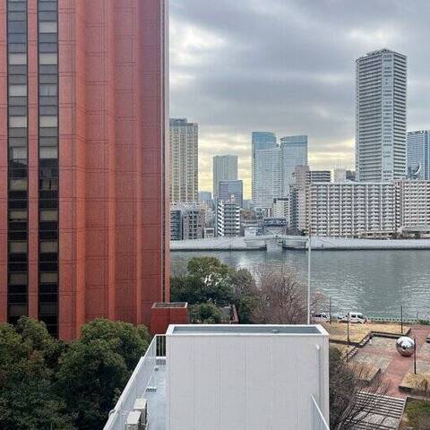 ライオンズ築地リバーノートの室内写真