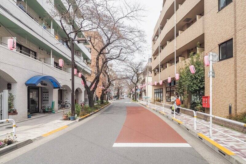  “西小山エリア” から “旗の台エリア” にかけて伸びる「立会道路」。開花時期には、約１kmに渡って桜並木が続き、ピンクのトンネルのように美しい景色が広がります。