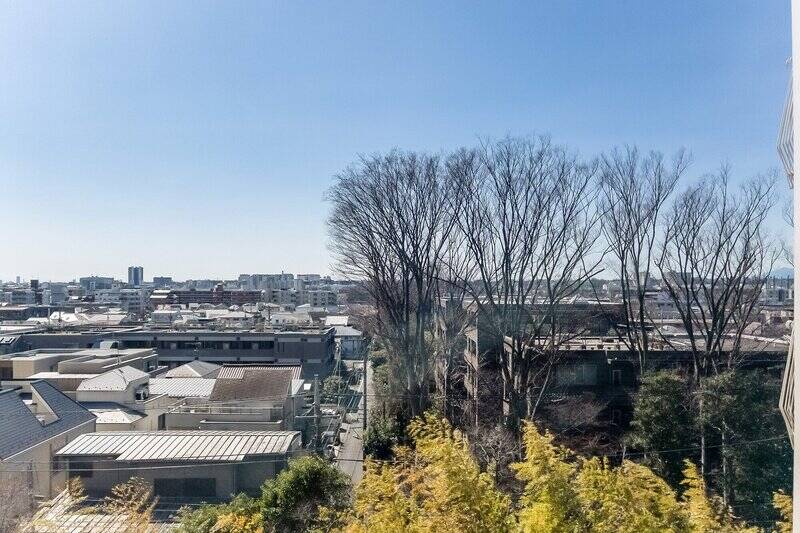 空がスカッと晴れていて気持ちいいですね〜。正面に背の高い落葉樹があるので夏は豊かなグリーンを楽しめそうですし、冬はご覧の通り視界が抜けます！