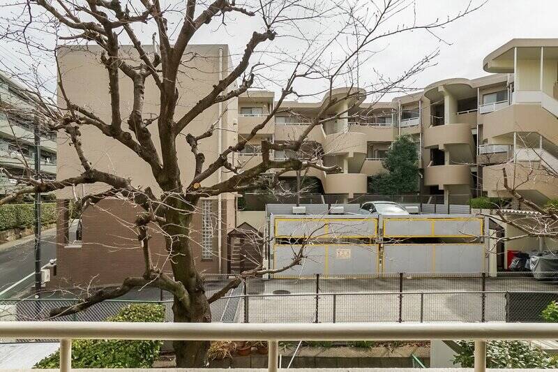 南東向きの桜の木ビュー。正面のマンションの居住部分との距離があるため、カーテンを開けても視線がそこまで気になることはなさそうです。