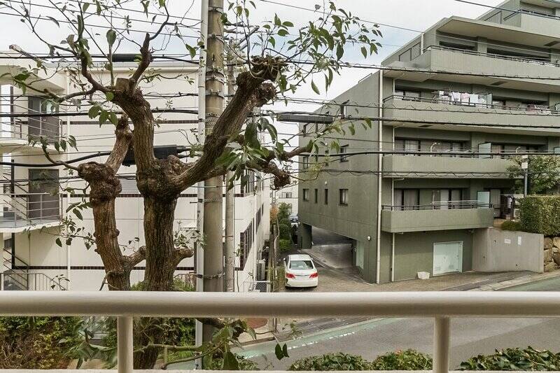 こちらは北東向き。目の前の木は桜ではありませんが、大きめの葉が季節を感じさせてくれそうです。