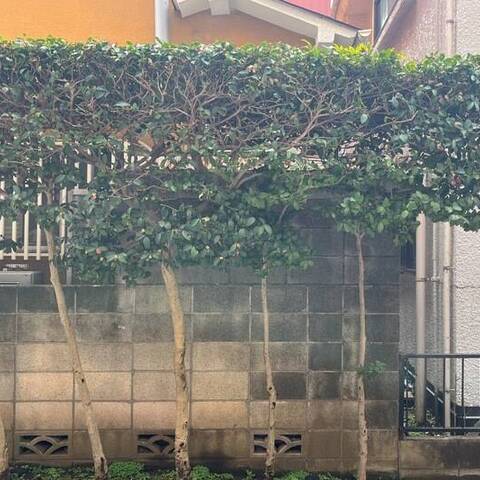 コープ野村等々力の室内写真