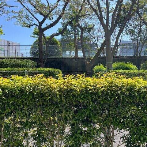 東大島ハイライズの室内写真