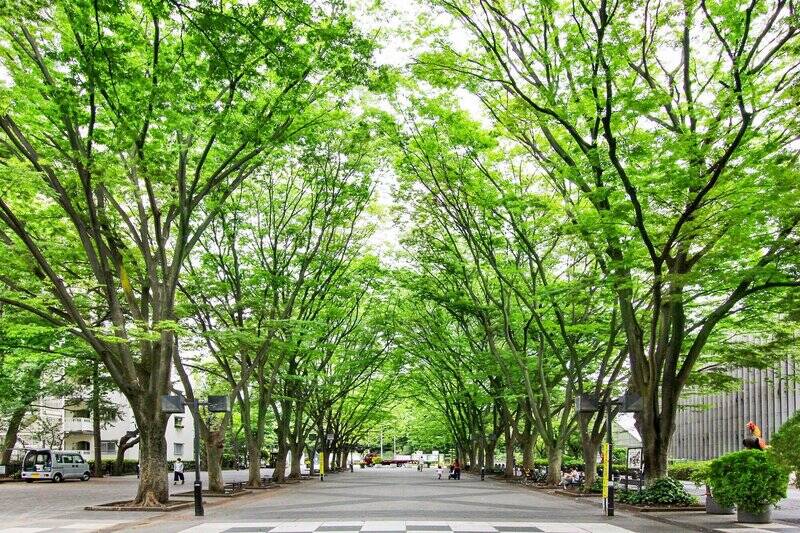 ご紹介するマンションは、東急田園都市線「<b>桜新町</b>」駅から徒歩13分。緑豊かな「<b>馬事公苑</b>」も同じ距離で、徒歩圏内にあります。