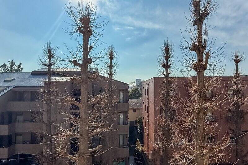 空と植栽を半々にした眺望。撮影時は落葉していますが、緑の季節はまた違った雰囲気が味わえますよ。