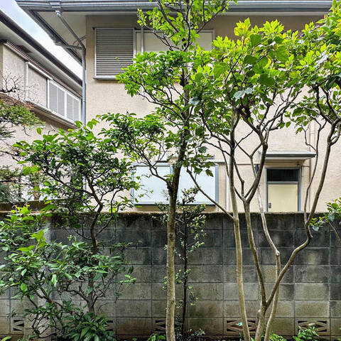 メゾネット浜田山の室内写真