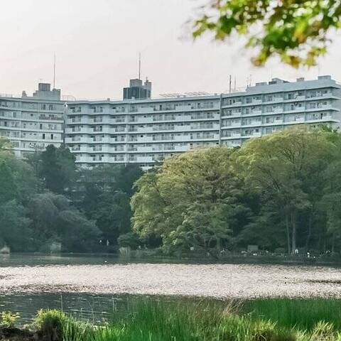 井の頭第2パークサイドマンションの建物・共用部写真