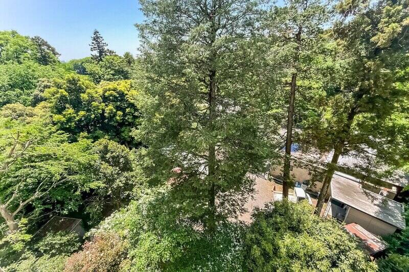 「井の頭公園案内所」の建物が見えています。公園の出入り口が近いのもうれしいですね。