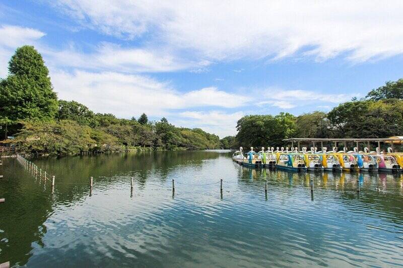今回ご紹介するのは、「井の頭恩賜公園」沿いに建つマンションの一室。公園まで徒歩わずか1分です!「吉祥寺」駅までは徒歩5分、ショッピングストリートではなく公園側に位置しているので、そこまで喧騒も感じません。
