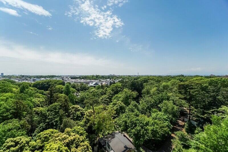 公園の豊かな自然を視界いっぱいに見渡す、素敵な眺めがそこにはありました。現在地は地上11階、南西向きです。