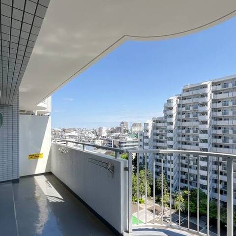 東急ドエルアルス多摩川の室内写真