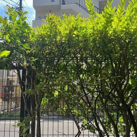 クリオ日吉弐番館の室内写真
