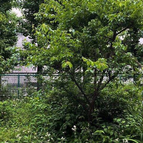 マイキャッスル尾山台の室内写真