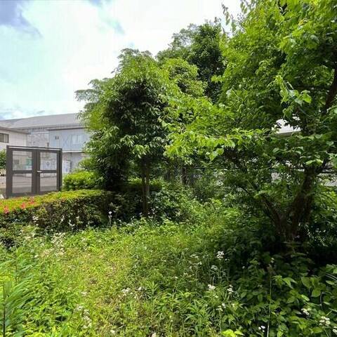 マイキャッスル尾山台の室内写真