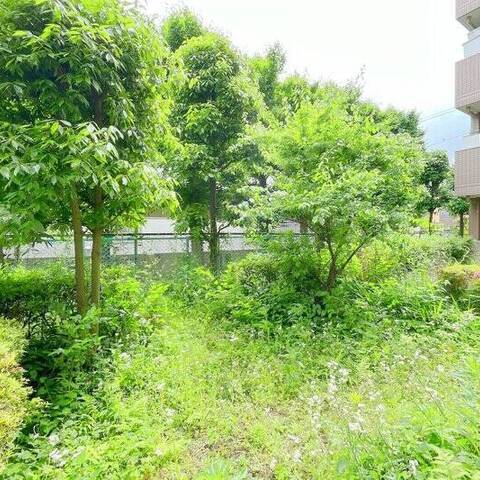 マイキャッスル尾山台の室内写真