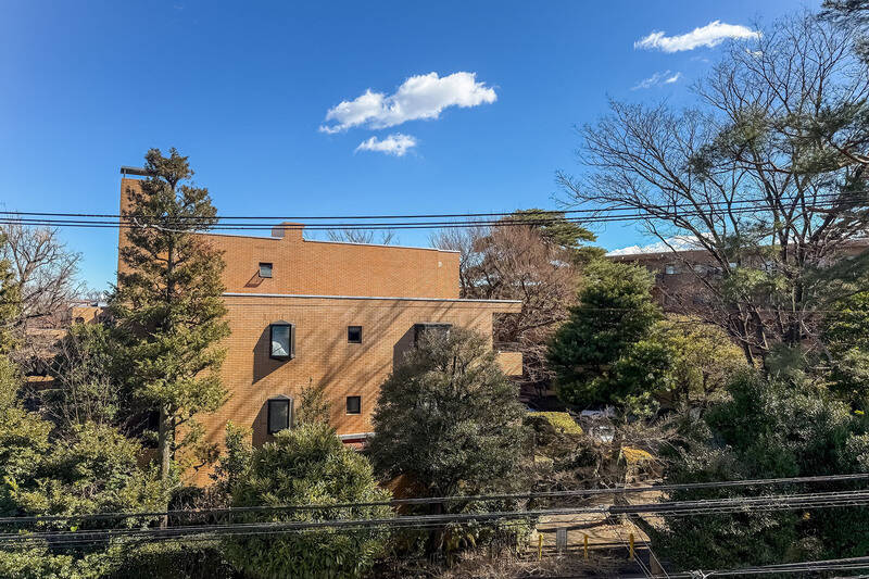向かいに建つマンションの敷地の緑を借景した眺望。