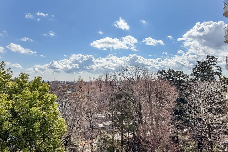 「井の頭恩賜公園」の緑と青空のコントラストが気持ちいい！ 奥には井の頭池が見えます。
