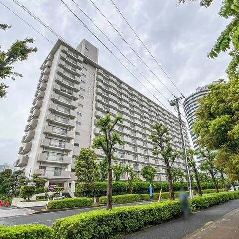 シティコープ豊洲の建物・共用部写真