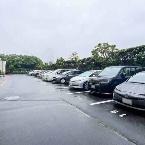 シティコープ豊洲の建物・共用部写真