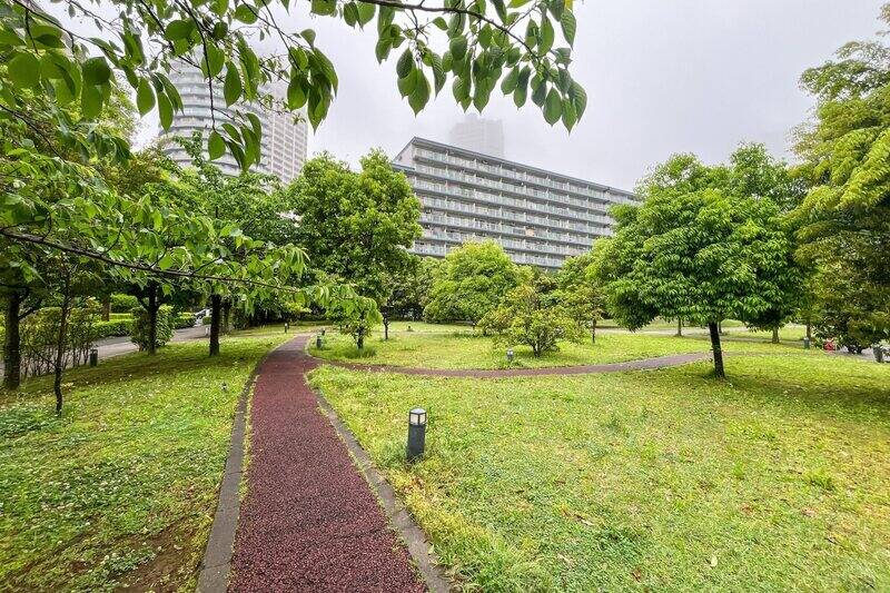 マンションの目の前にあるこちらの原っぱは、売主さまのお気に入りスポット。緑が豊かでふらっと散歩するだけでも気持ちよさそうです。