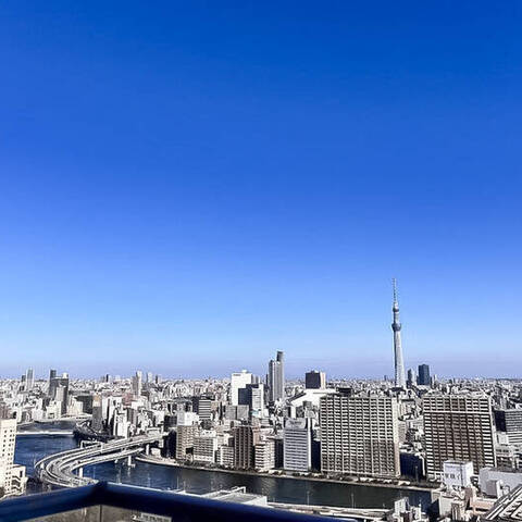トルナーレ日本橋浜町の室内写真