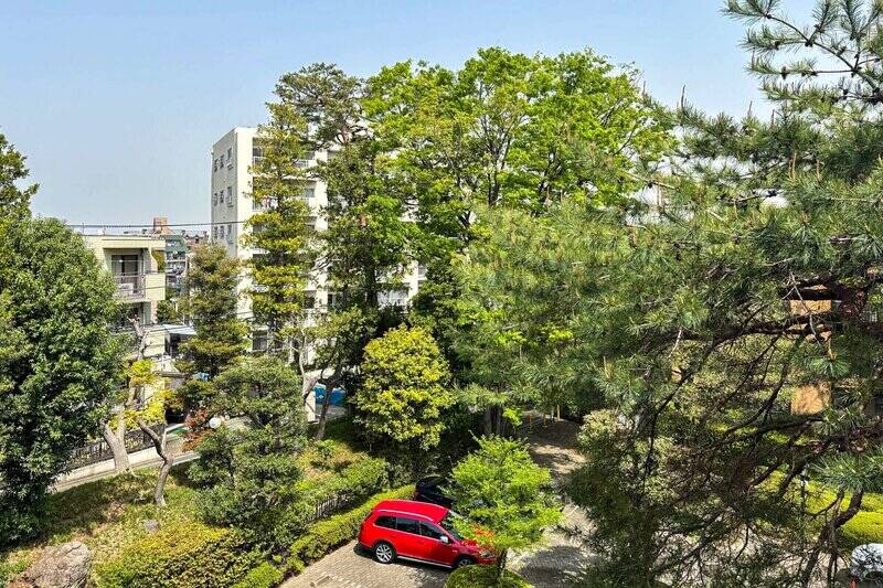 洋室B〜Dはいずれも北向きながら、敷地内の立派な木々を眺められる素敵な景色。