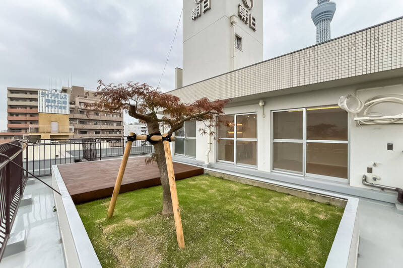 向こう側に「東京スカイツリー」が顔を覗かせているではありませんか!早く南東側に向かわねば……