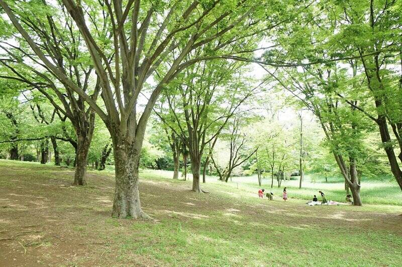 マンションから「代々木公園」までは徒歩５分。ペット飼育可（細則あり）の物件なので、ワンちゃんとのお散歩やランニング、ピクニックなど、日常に楽しみが広がりますね。