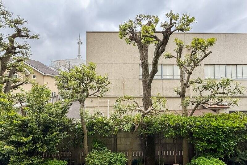 バルコニーへ出ると、マンション敷地内の植栽を挟んで、向かいの建物が視界に入ります。植栽がほどよい目の癒しに。住戸は南向きの2階所在です。