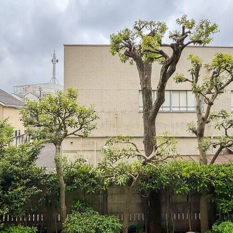 パークハイム新町三丁目の眺望・バルコニー写真