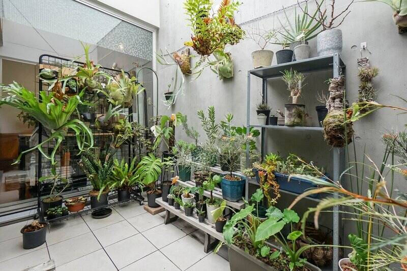 売主さまのディスプレイされたグリーンが爽やか！ 日光が降り注ぐので植物はすくすくと育ちそうですし、リクライニングチェアを出してくつろぐのも気持ちよさそう。