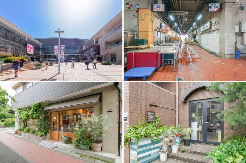 <b>左上・</b>最寄りは、東急田園都市線「たまプラーザ」駅。周辺には「東急百貨店」や「たまプラーザテラス」などの商業施設が充実しています。(徒歩24分)/<b>右上・</b>魚市場「川崎市中央卸売市場北部市場」は売主さまのおすすめスポット。食堂で食べるご飯がとても美味しいのだとか。市場で海鮮朝ごはん……なんて充実した朝活でしょう。(徒歩11分)/<b>左下・</b>ご夫婦で営まれている洋菓子店「常乃菓舎」。こだわり素材を使った絶品ケーキがいただけます。奥様の素敵な人柄も魅力です♪(徒歩14分)/<b>右下・</b>「Botanical56」は、マンションの一角で営業しているグリーンショップ。ハイセンスな植物や鉢をリーズナブルな価格で取り扱っています。(徒歩18分)