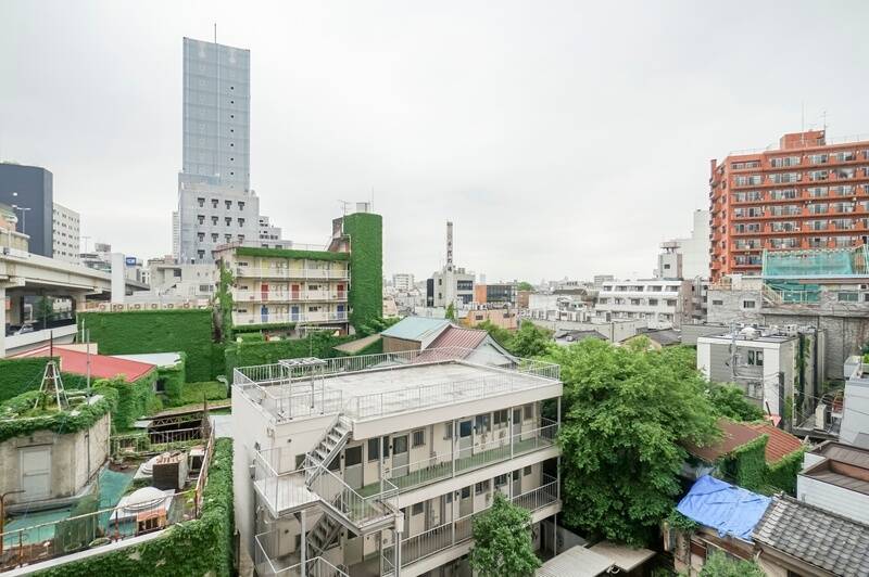 空を仰げる気持ちのいい眺望。周囲のグリーンに目が潤います。